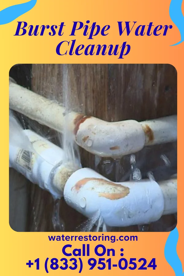 Burst Pipe Water Cleanup in D'Hanis, TX