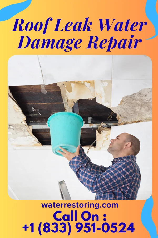 Roof Leak Water Damage Repair in D'Hanis, TX
